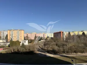 Pronájem bytu 3+kk, Plzeň, Františka Kováříka, 71 m2