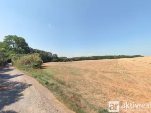 Prodej pole, Mělník, 15662 m2