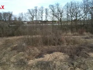 Prodej komerčního pozemku, Polom, 40000 m2