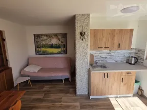 Prodej chaty, Příbram, 21 m2