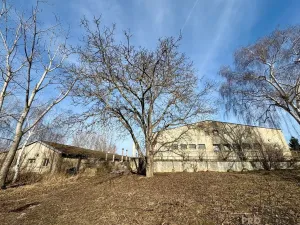 Prodej výrobních prostor, Nosislav, 1980 m2