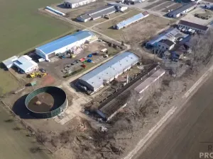 Prodej výrobních prostor, Nosislav, 1980 m2