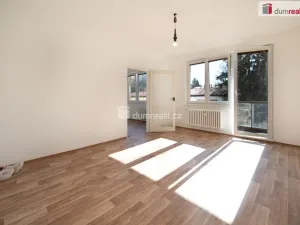 Prodej bytu 1+1, České Budějovice - České Budějovice 3, Plzeňská, 39 m2