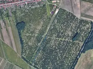 Prodej zahrady, Hlohovec, 3671 m2