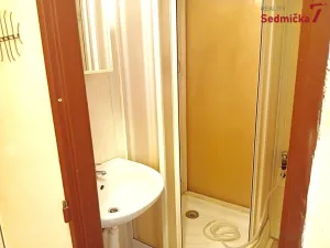 Prodej bytu 3+1, Žďár nad Sázavou, Nezvalova, 67 m2