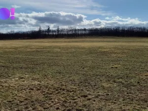 Prodej pole, Šanov, 61315 m2