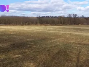 Prodej pole, Šanov, 61315 m2