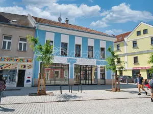 Prodej činžovního domu, Kladno, Komenského, 425 m2