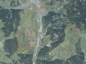 Prodej pole, Kraslice, 3869 m2