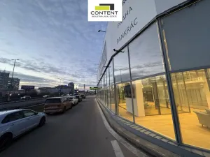 Pronájem obchodního prostoru, Praha - Michle, Na křivině, 1000 m2