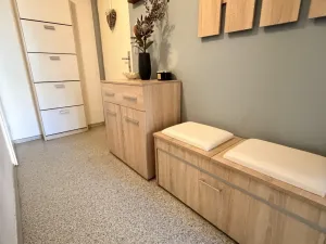 Prodej bytu 2+1, Brno - Žabovřesky, Mozolky, 51 m2