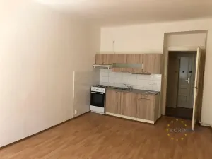 Pronájem bytu 3+kk, Praha - Žižkov, Hájkova, 76 m2