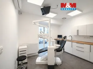 Pronájem komerční nemovitosti, Praha - Nové Město, Opletalova, 16 m2