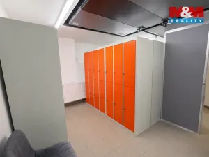 Pronájem komerční nemovitosti, Praha - Nové Město, Opletalova, 16 m2