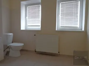 Pronájem bytu 3+kk, Teplice, Lípová, 110 m2