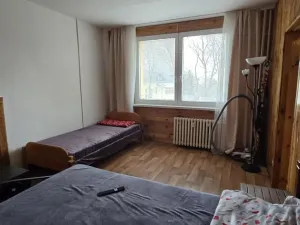 Prodej bytu 1+1, Litvínov - Horní Litvínov, Tylova, 37 m2