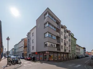Pronájem bytu 3+1, České Budějovice, Nová, 47 m2
