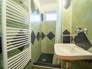 Prodej zemědělského objektu, Habrovany, 350 m2