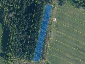 Dražba lesa, Trhové Sviny, 2498 m2