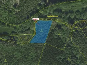 Dražba lesa, Čestín, 2055 m2