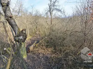 Prodej zahrady, Brno, Turistická, 207 m2