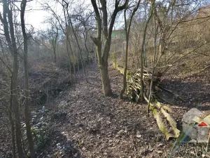 Prodej zahrady, Brno, Turistická, 207 m2