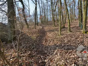 Prodej zahrady, Brno, Turistická, 207 m2