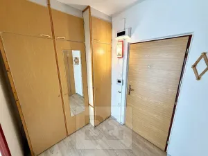Pronájem bytu 1+kk, Plzeň, Toužimská, 32 m2