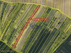 Prodej pole, Svatobořice-Mistřín, 2942 m2
