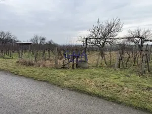 Prodej pole, Svatobořice-Mistřín, 2942 m2