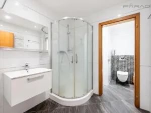 Prodej bytu 1+kk, Praha - Žižkov, Olšanská, 46 m2