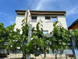 Pronájem pokoje, Brno, Kostelní zmola, 15 m2