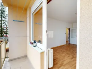 Prodej bytu 3+1, Havlíčkův Brod, Žižkov II, 62 m2