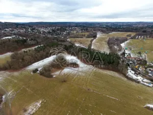 Prodej lesa, Velké Popovice, 19731 m2