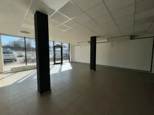 Pronájem obchodního prostoru, Praha - Hlubočepy, Wassermannova, 84 m2