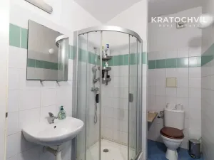 Prodej bytu 1+kk, Praha - Karlín, Březinova, 50 m2