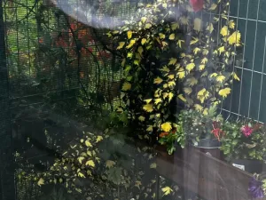 Prodej bytu 2+kk, Praha - Hodkovičky, Šífařská, 68 m2