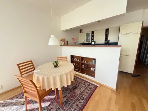 Pronájem bytu 1+kk, Praha - Motol, Jeřabinová, 43 m2