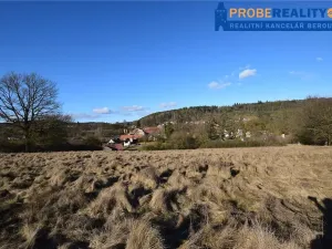 Prodej pozemku pro bydlení, Mirotice, 9991 m2