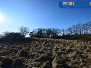 Prodej pozemku pro bydlení, Mirotice, 9991 m2