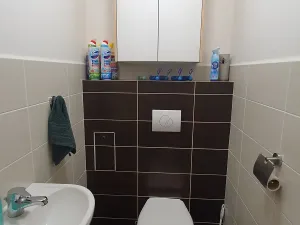 Pronájem bytu 3+kk, Brandýs nad Labem-Stará Boleslav, Za Dvorem, 76 m2