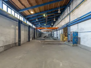 Prodej výrobních prostor, Ostrava - Vítkovice, 9648 m2