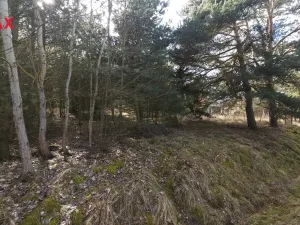 Prodej pozemku pro bydlení, Olešná, 1249 m2