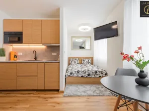 Prodej bytu 1+kk, Beroun - Beroun-Město, Karly Machové, 29 m2