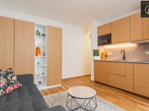 Prodej bytu 1+kk, Beroun - Beroun-Město, Karly Machové, 29 m2