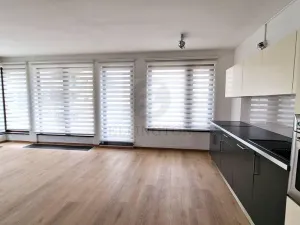 Pronájem bytu 2+kk, Praha - Čimice, Vánková, 66 m2