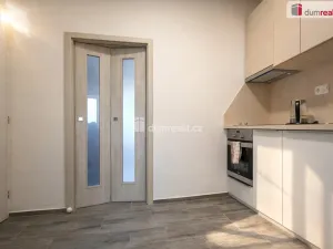 Pronájem bytu 1+1, Teplice, Křičkova, 23 m2