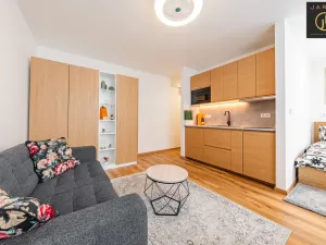 Prodej bytu 1+1, Beroun - Beroun-Město, Karly Machové, 29 m2