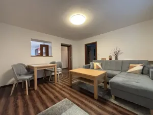 Pronájem bytu 2+1, Plzeň - Východní Předměstí, Božkovská, 57 m2