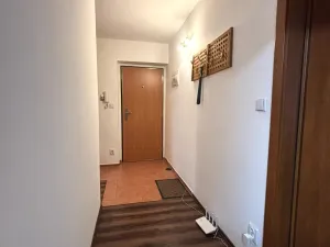 Pronájem bytu 2+1, Plzeň - Východní Předměstí, Božkovská, 57 m2